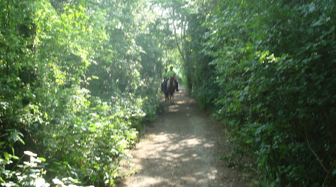 Jubilee Pathway